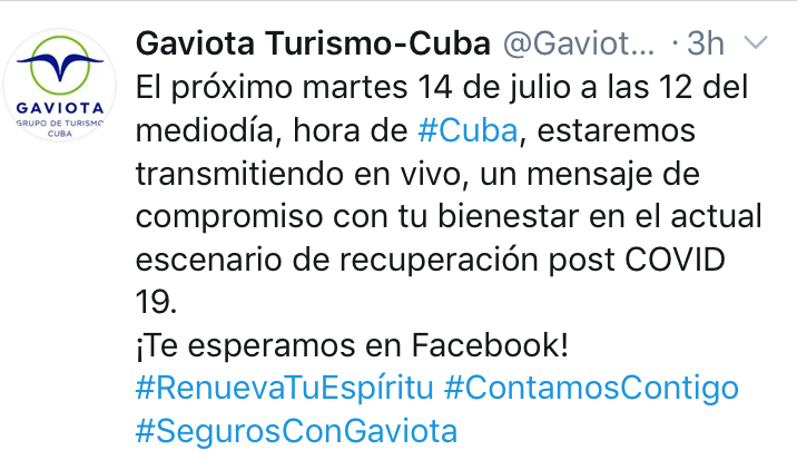 Twitt-Gaviota