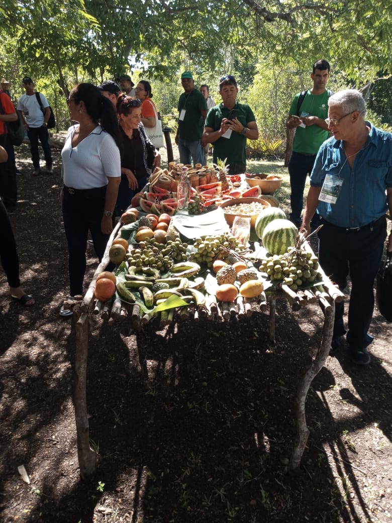 Visita a Finca El Progreso a 10 km de la ciudad de Holguín administrada por Flora y Fauna, donde vive una familia campesina con un típico ambiente rural.