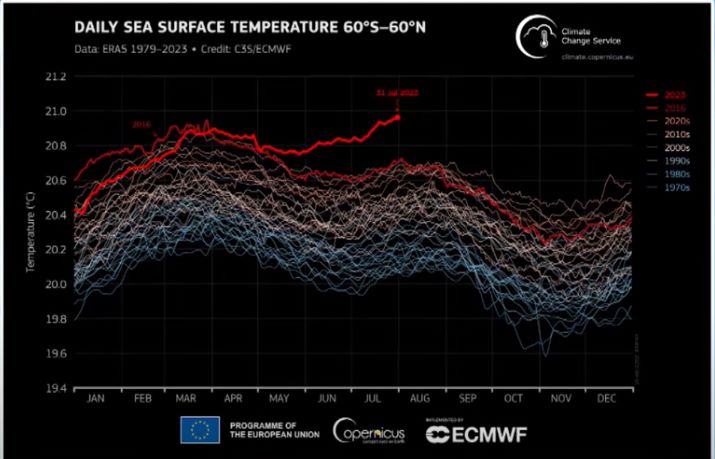 Marcha diaria de la Temperatura Superficial del Mar entre 60 ºS y 60 ºN. Obsérvese la línea roja que queda encima de las demás. Ese es 2023 y termina en la temperatura alcanzada en julio de este año. Fuente C3S