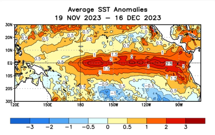 Anomalías de la temperatura superficial del mar del 19 de noviembre al 16 de diciembre de 2023. Obsérvese el color rojo de las anomalías positivas típico de El Niño (agua más cálida que lo normal). Fuente: NOAA