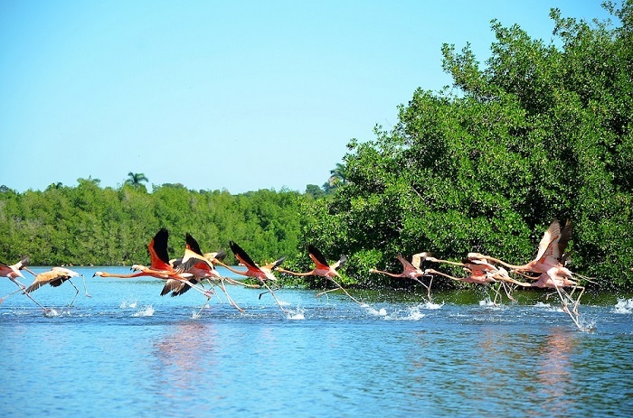 LagunaGuanaroca_Cienfuegos