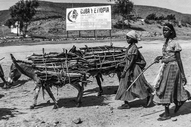 Mujeres con leña