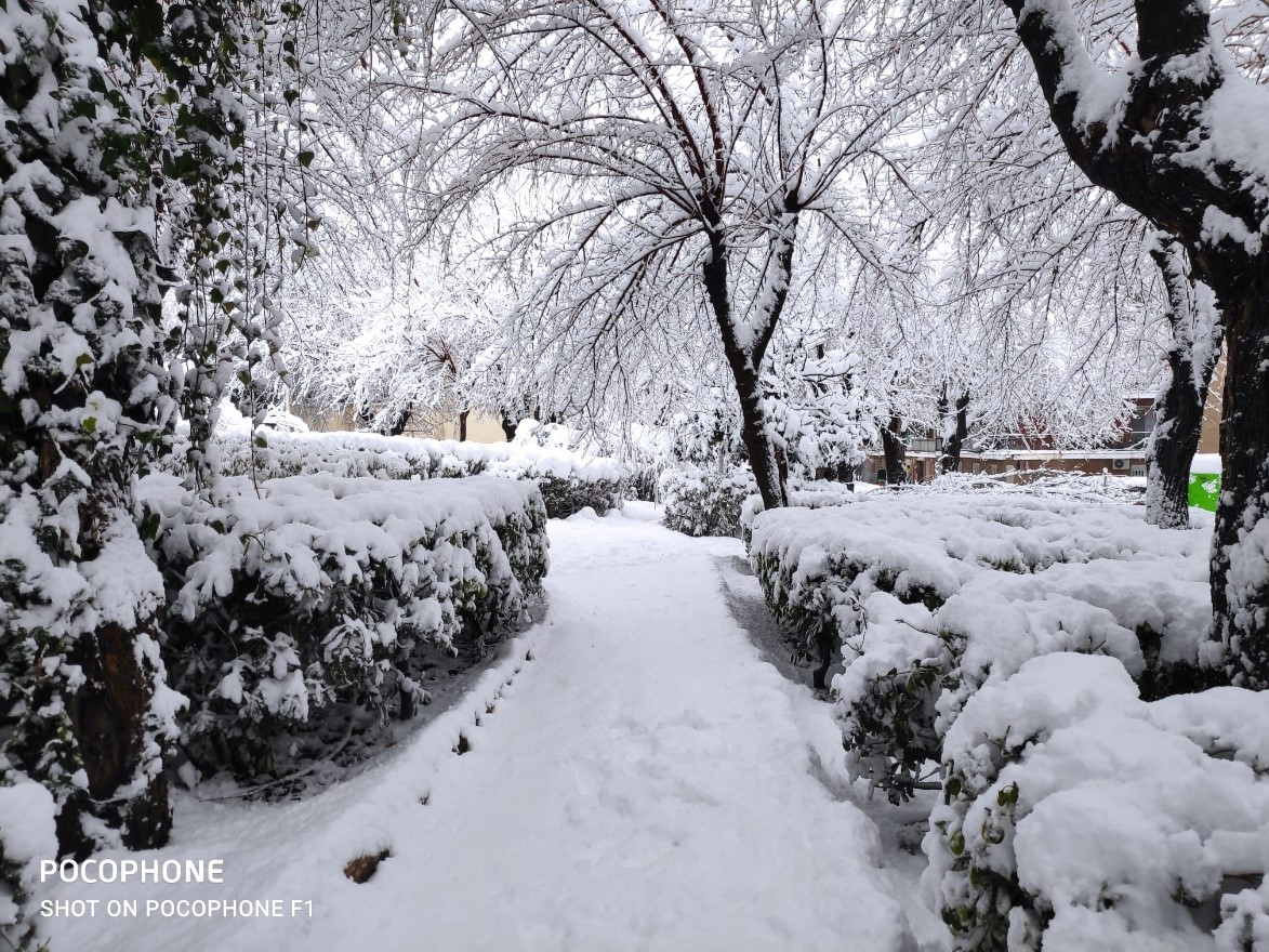 Nevada en Madrid y Arganda del Rey4