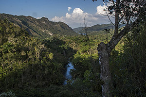 FAM TRIP GAVIOTA TOPES DE COLLANTES