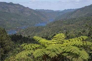 Topes de Collantes: la consagración de la naturaleza