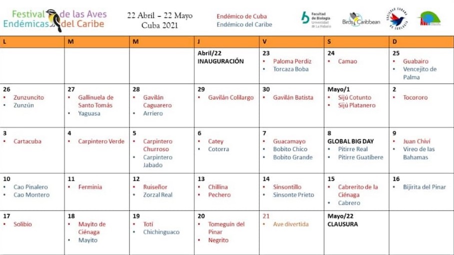 Programa del Festival de las Aves endémicas del Caribe en Cuba