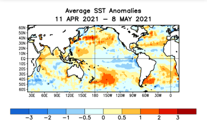 Promedio de la Anomalía de la Temperatura del Mar respecto al promedio del 11 de abril al 8 de mayo de 2021.