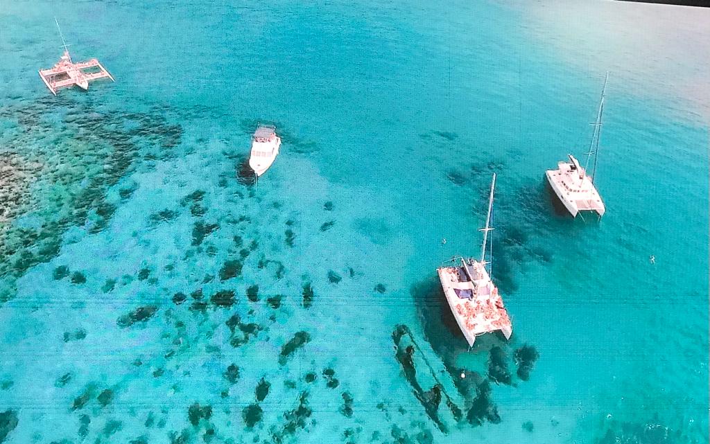 Marina Marlin brinda excursiones en Cayo Largo del Sur