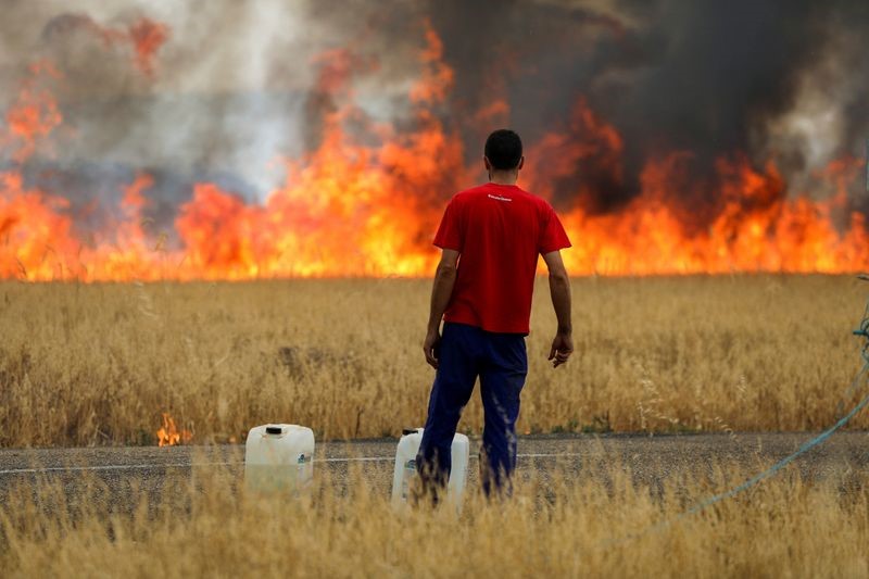 Devastadores incendios forestales ocasionados en Europa por la Ola de Calor.