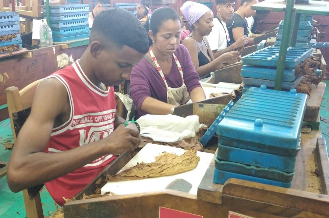 Participantes en el Festival del Habano visitan la fábrica La Corona 