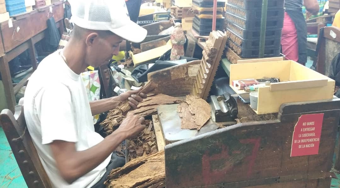 Participantes en el Festival del Habano visitan la fábrica La Corona 