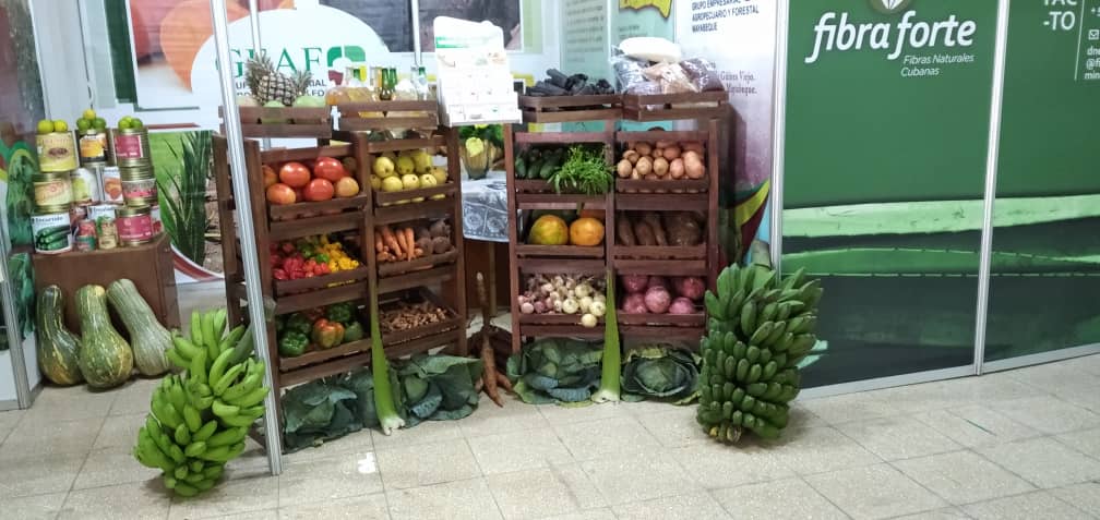 Fiagrop 2023