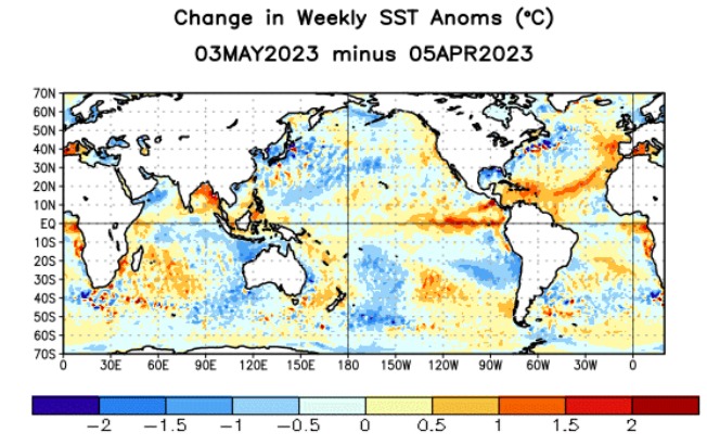 Las aguas del Pacífico Ecuatorial central y oriental se han ido calentando. Obsérvese que el Atlántico tropical también está caliente.