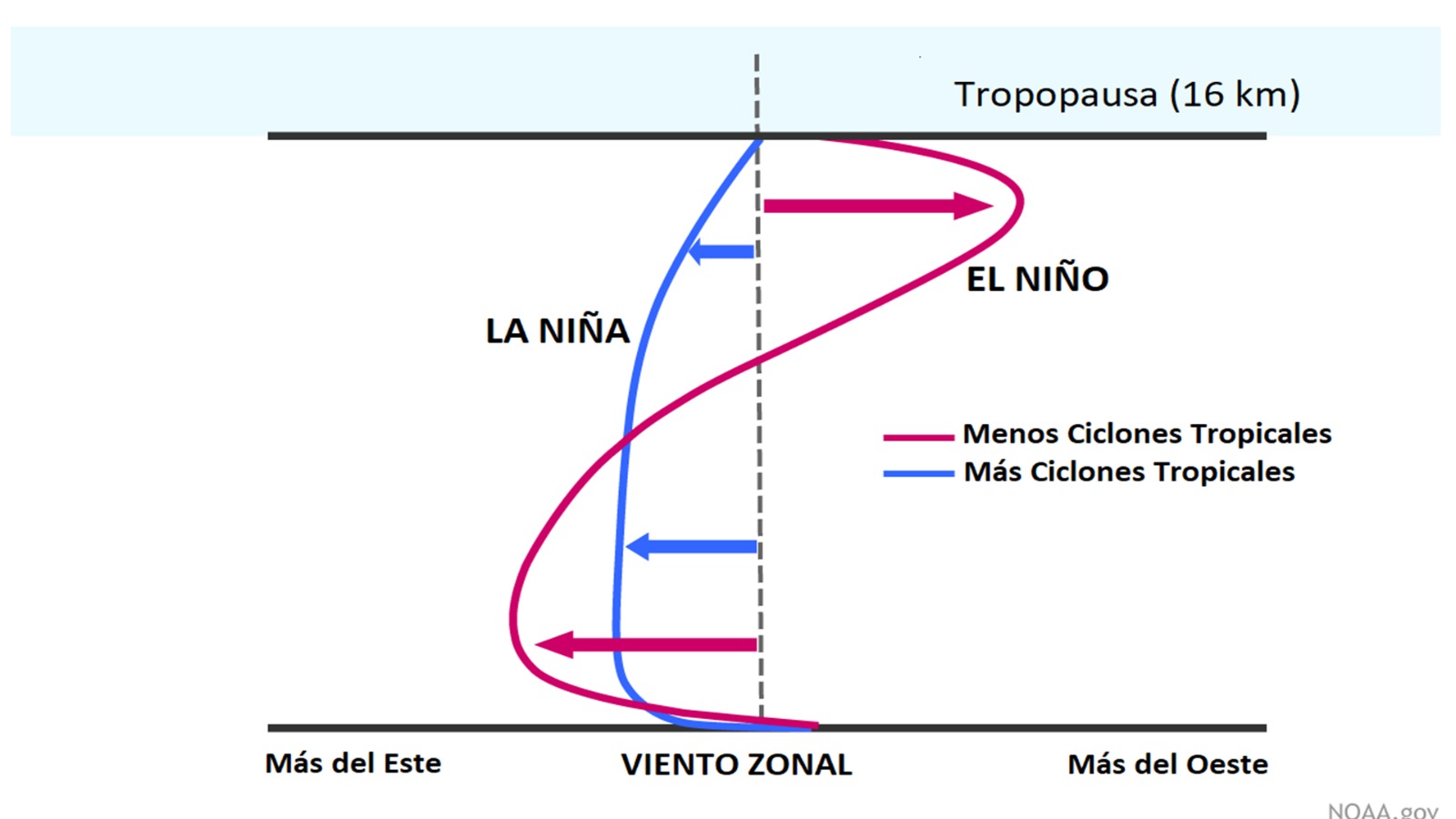 Cuando hay un Evento El Niño, los vientos superiores son adversos a la formación y desarrollo ciclónico tropical.