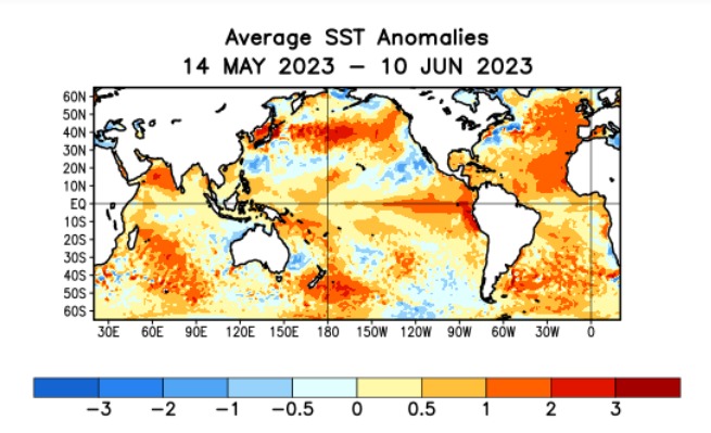 Anomalías de la Temperatura Superficial del Mar entre el 14 de mayo de 2023 y el pasado día 10 de junio (en rojo-, más calientes que lo normal; en azul: más frías que lo normal)