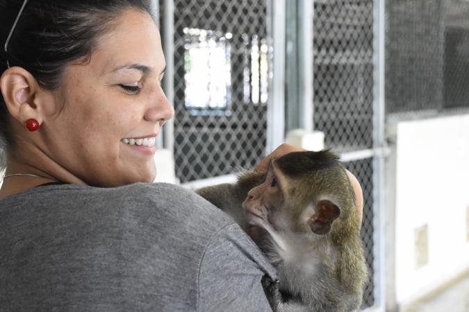 Parque zoológico de Cuba: educar la vida salvaje