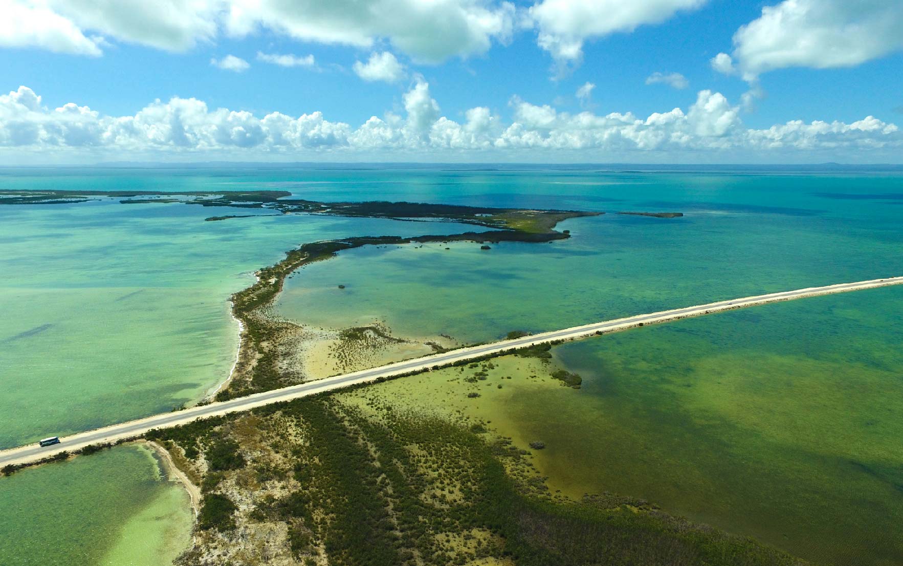 Ruta a Cayo Santa María foto Gaviota