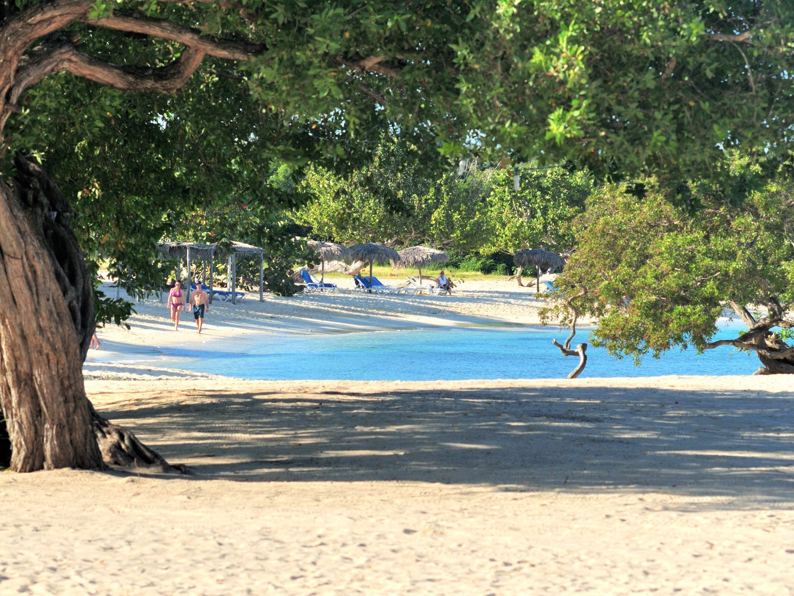 Hotel Playa Pesquero Resort Suite & Spa: lujo todo incluido en Holguín