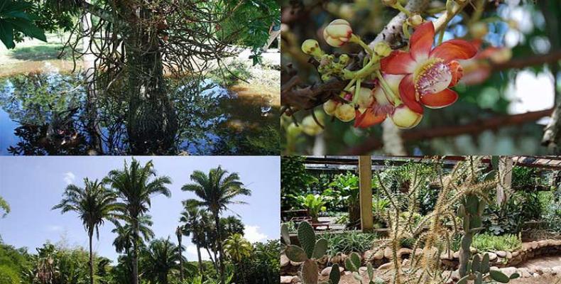 Jardín Botánico de Cienfuegos 