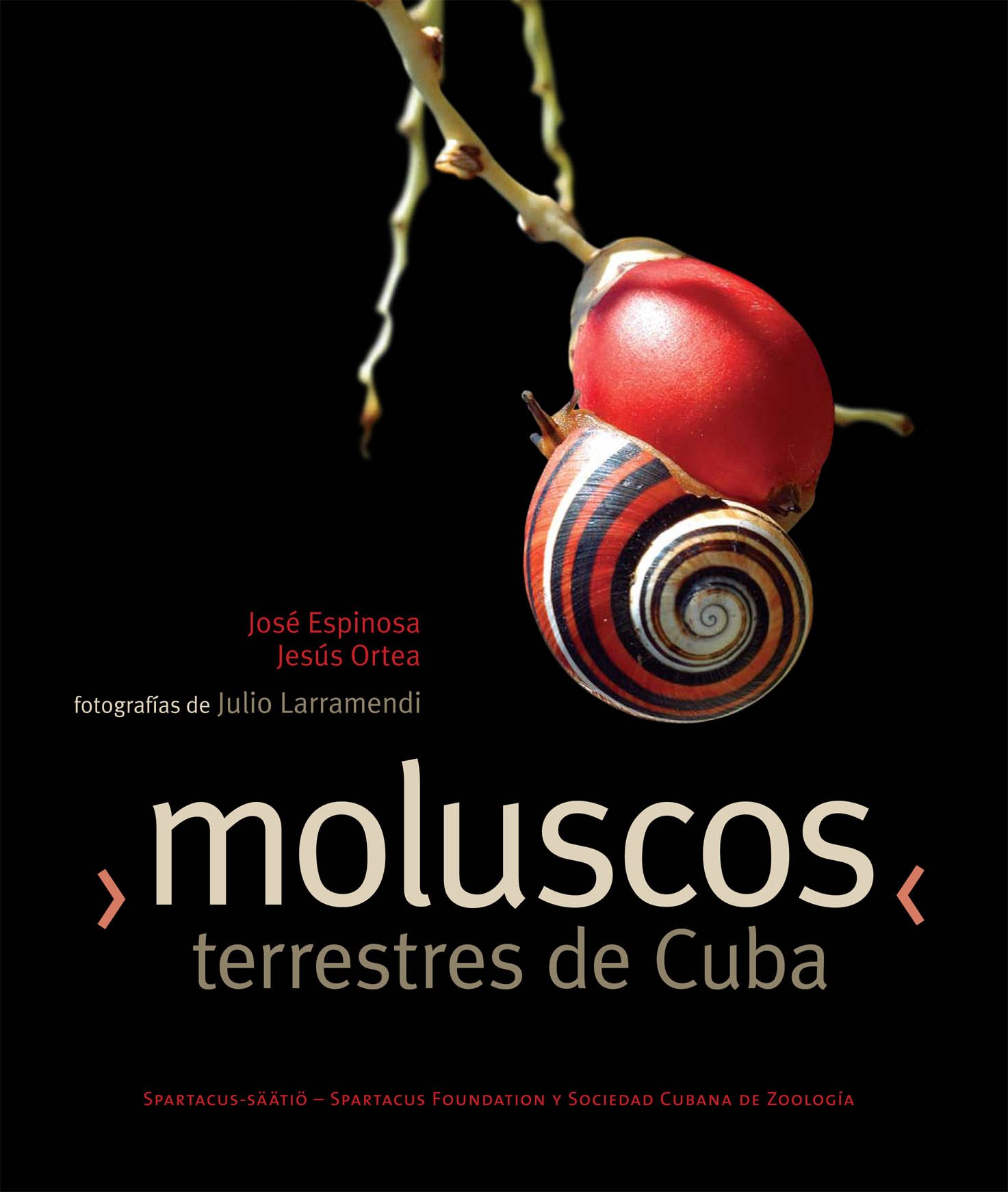 moluscos