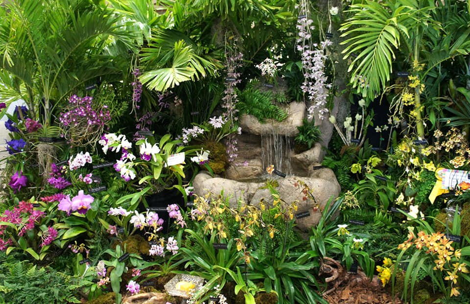 Orquideario de Soroa