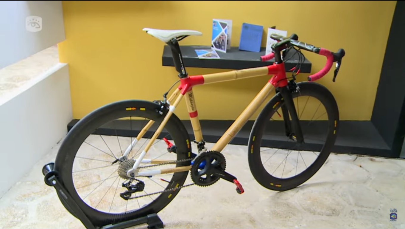 Tocororo Bamboo Bikes