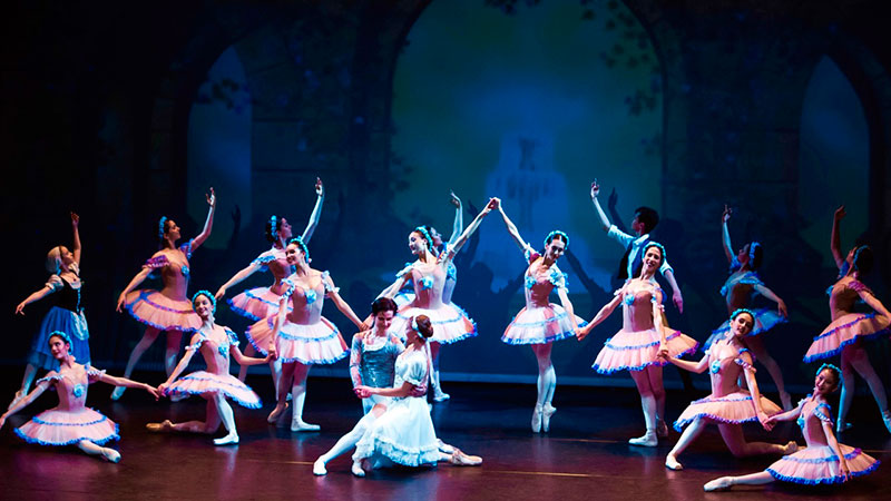 Ballet Nacional de Cuba, Patrimonio Cultural de la Nación