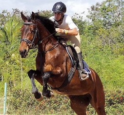 Foto: Francisco Menéndez Vuelve el remate de caballos de salto en Cuba