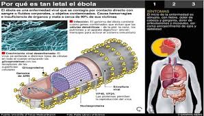 Ministerio de Salud cubano toma medidas para evitar entrada del ébola