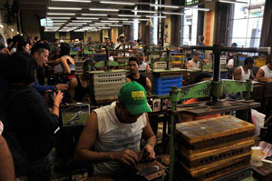 Festival de Habanos: Las manos que dan forma al mejor tabaco del mundo
