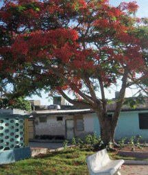 Santiago de Cuba, ¿provincia jardín?