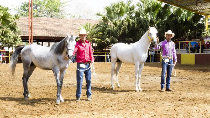 Exhibición de campeones en FIAGROP 2017