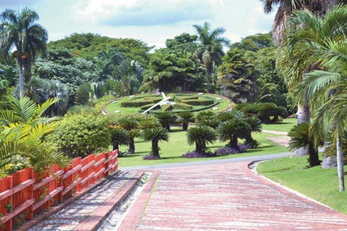 El Jardín Botánico Nacional celebra su aniversario 50