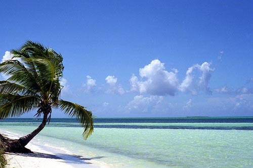 Playas de Jardines del Rey reciben mantenimiento