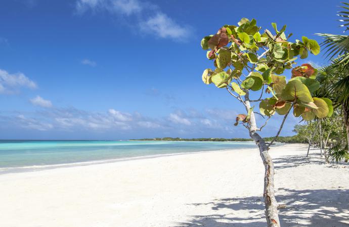 Jardines del Rey sigue siendo uno de los grandes destinos de Cuba