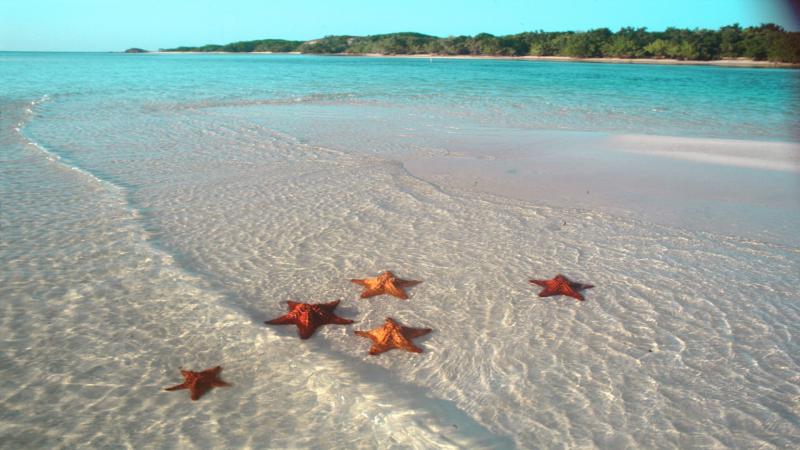 Aumenta turismo a Jardines del Rey