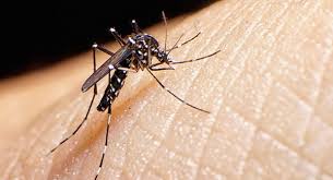 OPS selecciona a Cuba para reunión regional sobre el zika