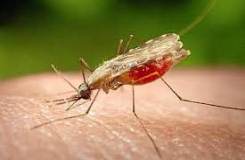 Las enfermedades infecciosas y los riesgos para el turista