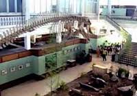 Museo Tomás Romay contribuye a la educación medioambiental