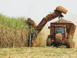 Cuba invierte en sector azucarero
