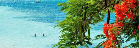 Guardalavaca se mantiene libre de sargazos