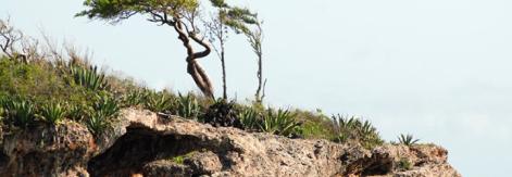 Parque Nacional Caguanes