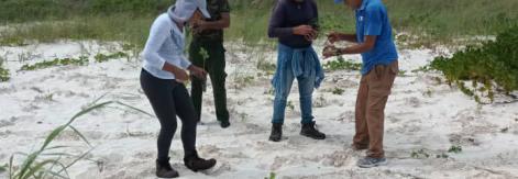 Proyectos científicos fortalecen ecosistemas en Ciego de Ávila