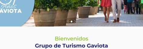 Grupo Gaviota lanza nuevo sitio web institucional