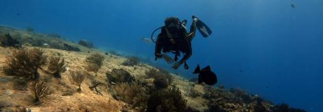 Cayo Santa María, buceo en el inconmensurable abismo azul del atlántico cubano