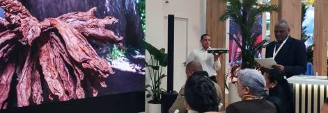 FITUR 2026: El occidente de Cuba, entre naturaleza, playas y ciudades emblemáticas