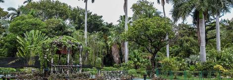 Quinta de los Molinos presenta plan de sostenibilidad