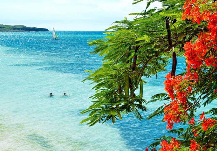 Guardalavaca se mantiene libre de sargazos