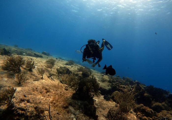 Cayo Santa María, buceo en el inconmensurable abismo azul del atlántico cubano