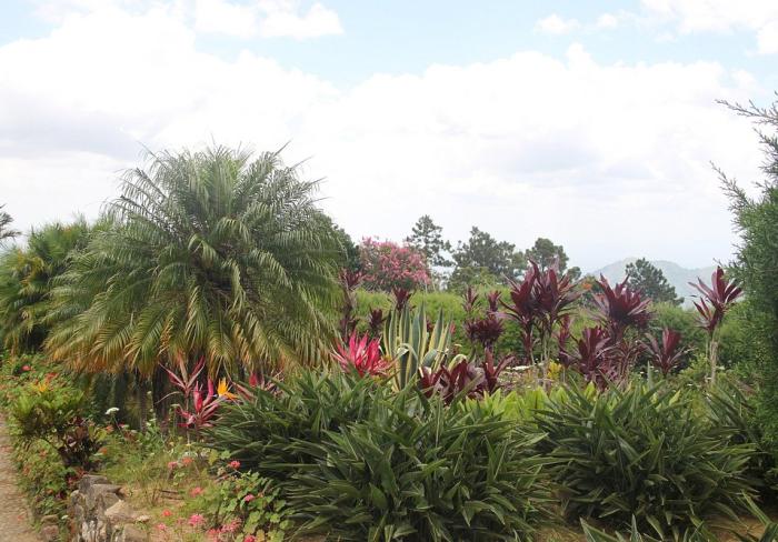 Jardín Ave del Paraíso, una aventura en los cielos de Santiago de Cuba